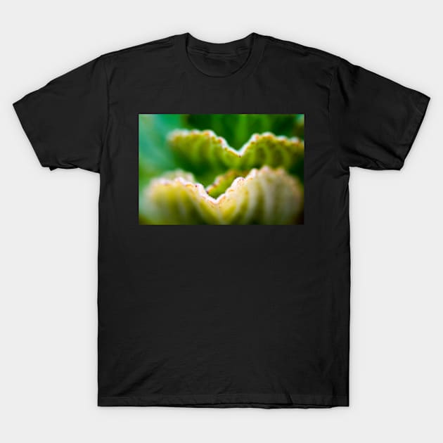 Lime green leaf stack T-Shirt by heidiannemorris